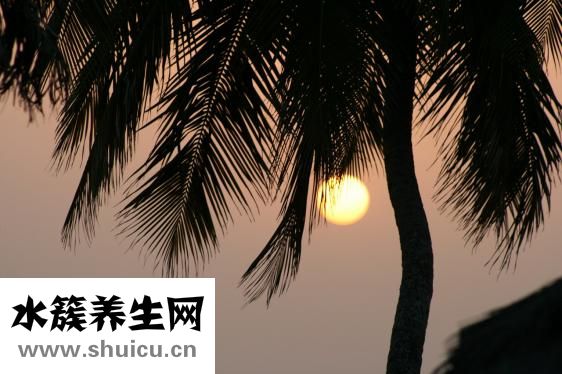 手心发粘怎么回事