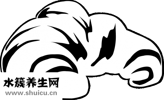 羊角怎么去掉
