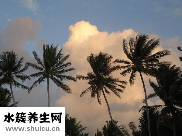 手心发粘怎么回事