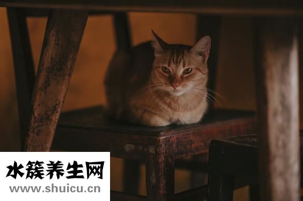 包眼角怎么画眼线