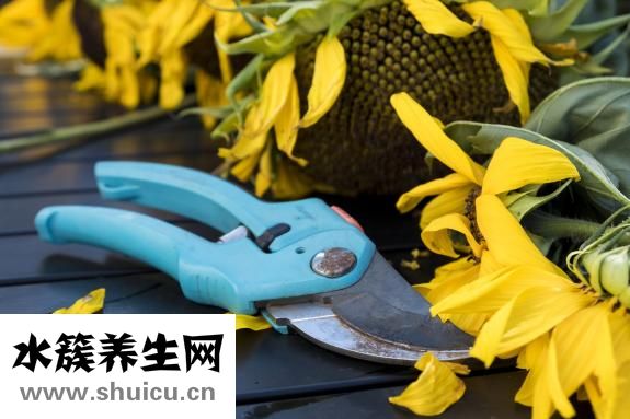 怎么使指甲变好看