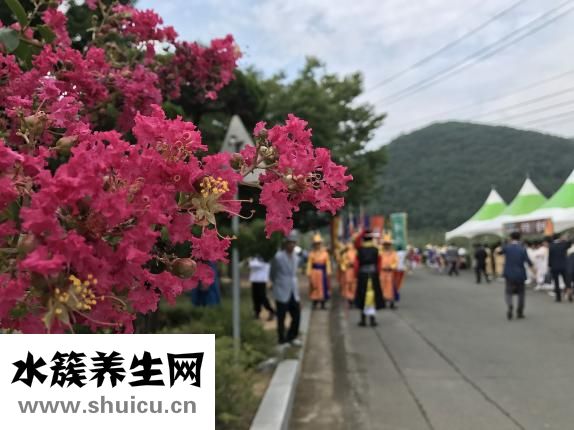 女生怎么紫薇