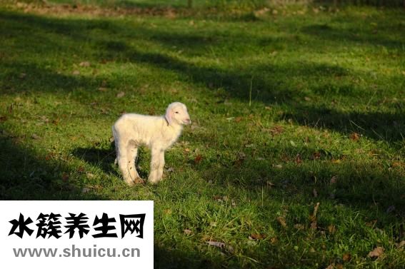 怎么才能治疗早泄