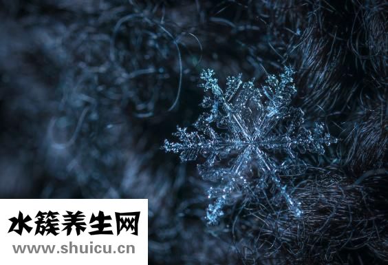 雪花气垫怎么用