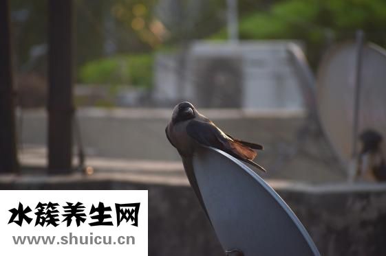 宝宝脚冻了怎么办