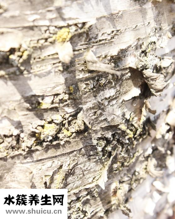 玉坠碎了怎么办