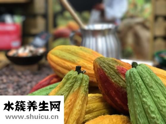 卜用韩文怎么说