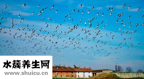 子宫肌瘤怎么运动
