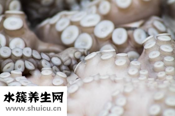 章鱼的乌鱼怎么吃