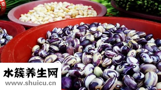 出豆子怎么办