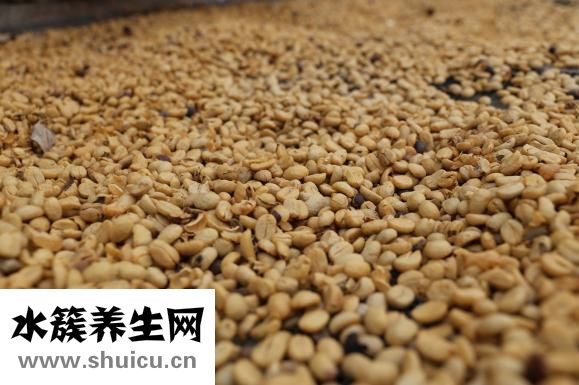 出豆子怎么办