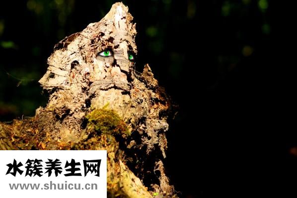 比较用文言文怎么说