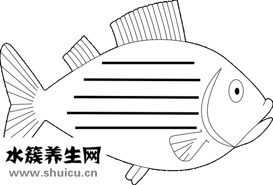 怎么站好军姿
