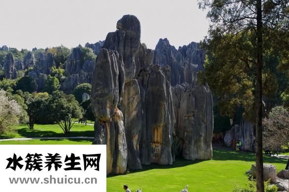 石林蛙怎么吃