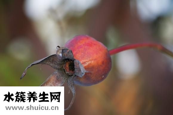 包眼角怎么画眼线