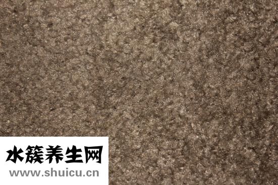 玉珠手链怎么看好坏