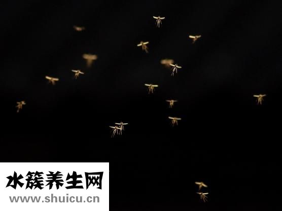 半夜有蚊子怎么办