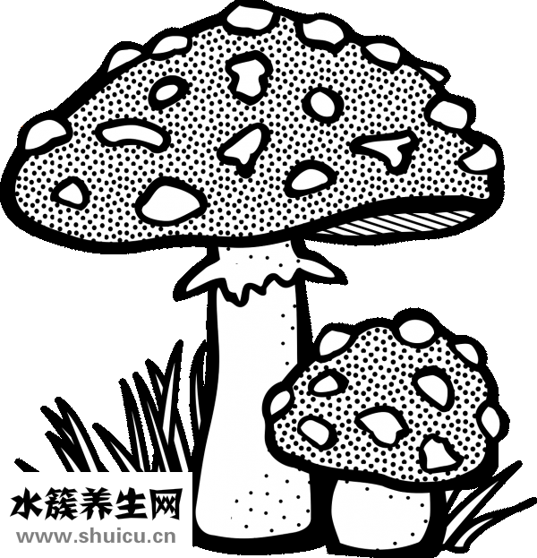 脚汗很多怎么办