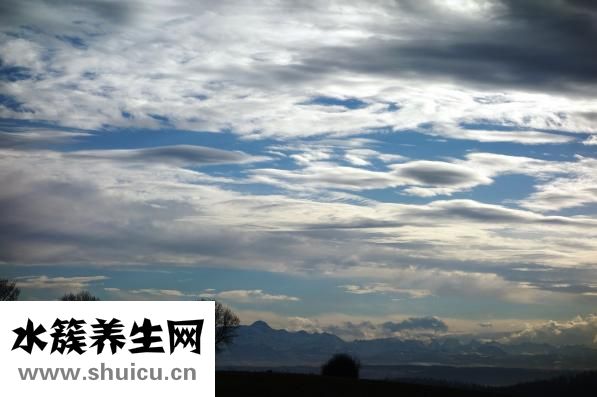 天丝棉围巾怎么洗