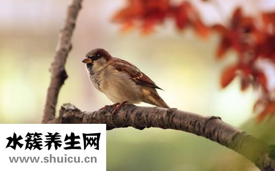 怎么才能治疗早泄