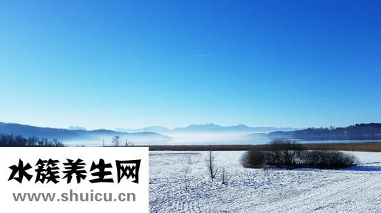 天丝棉围巾怎么洗