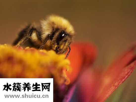 包眼角怎么画眼线