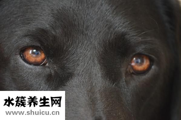 包眼角怎么画眼线