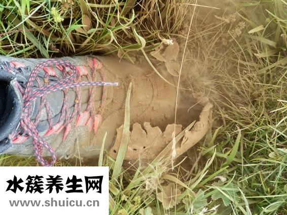 孢子怎么送礼