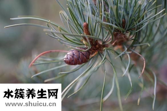 怎么除蜂窝