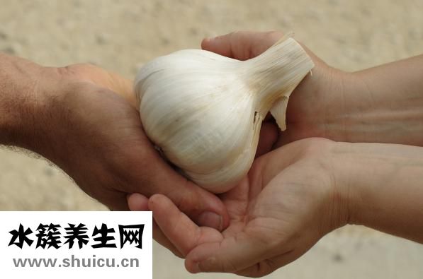 板鸭怎么炒