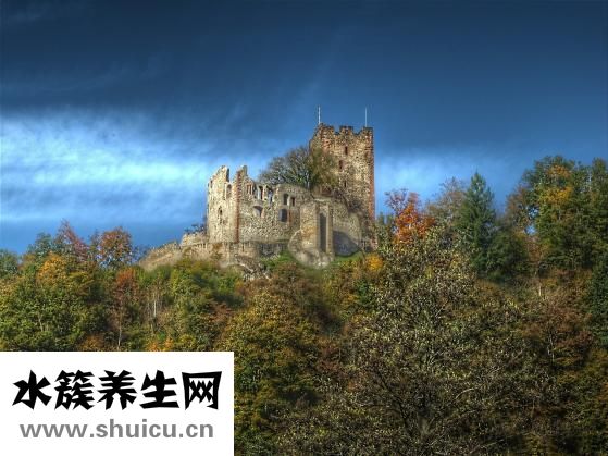 怎么除蜂窝