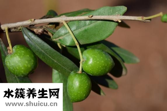 贝特令怎么吃