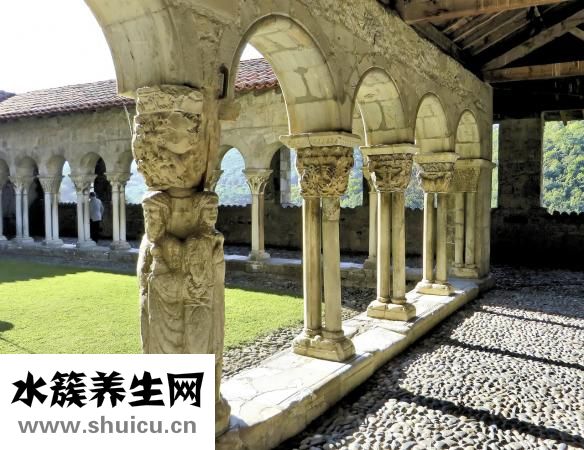 贝特令怎么吃