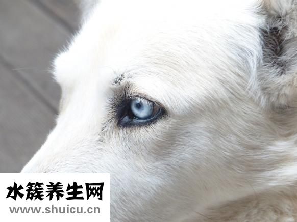眼镜片磨花了怎么办