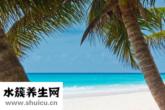 黄斑区病变怎么办