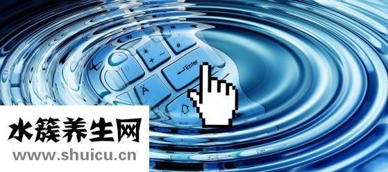 怎么确定排卵日女士能在月经初潮后第天上下测算