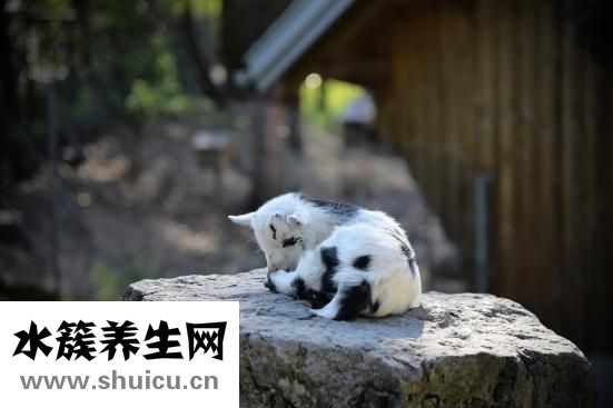 不喜欢读书怎么办