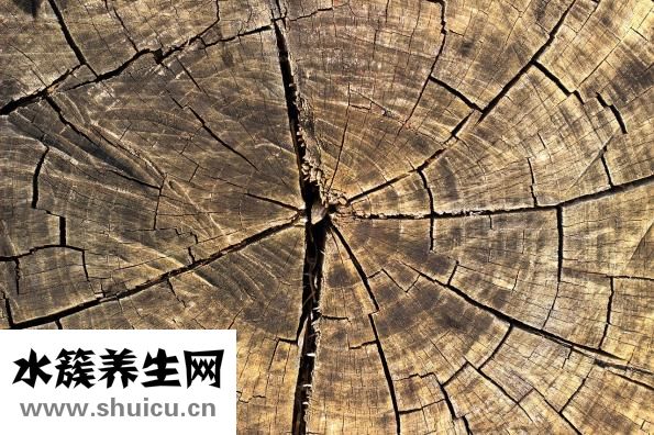 怎么填写信封