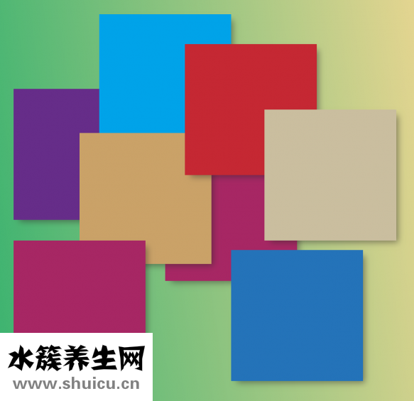 贝壳怎么看死活