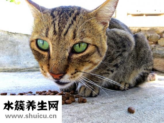 宝宝眨眼睛怎么办