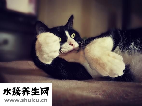 睫毛胶干了怎么办