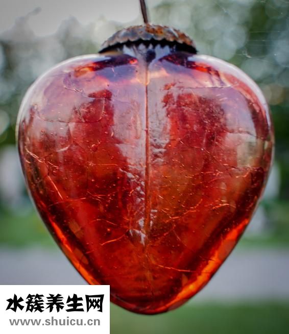 心率慢怎么治