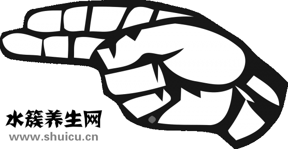 鲈鱼拼音怎么写