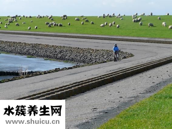 怎么吹马哨
