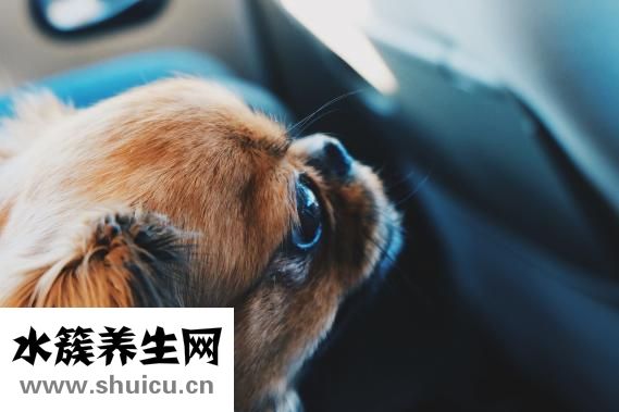 宝宝眨眼睛怎么办