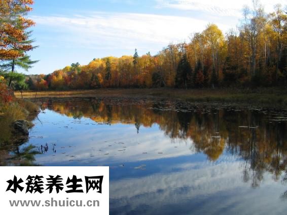 怎么给照片戴假发