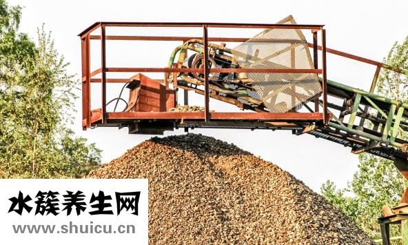 肚子肠鸣怎么回事