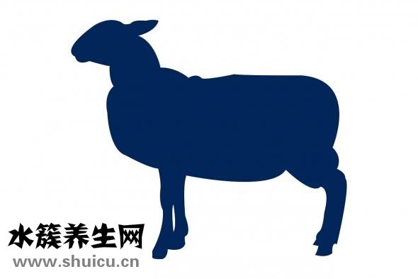 新鲜狗肉怎么做好吃