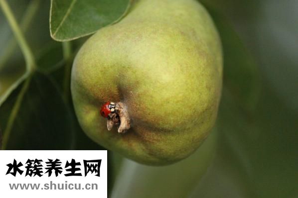 肥皂怎么保存