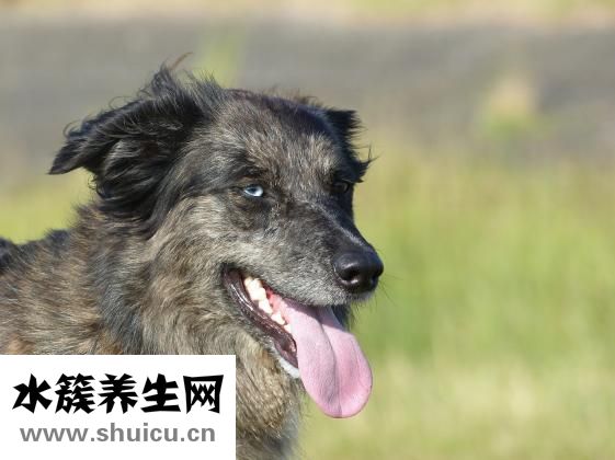 婴儿揉眼睛怎么回事